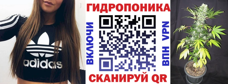 Бошки Шишки сатива  mega ССЫЛКА  Афипский  купить закладку 